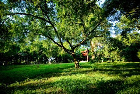 BAN QUẢN LÝ DI TÍCH LAM KINH HỘI NGHỊ SƠ KẾT CÔNG TÁC CHUYÊN MÔN 6 THÁNG ĐẦU NĂM, BÀN GIẢI PHÁP THỰC HIỆN NHIỆM VỤ 6 THÁNG CUỐI NĂM 2020