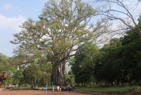 NHỮNG ĐIỀU HUYỀN BÍ Ở LAM KINH